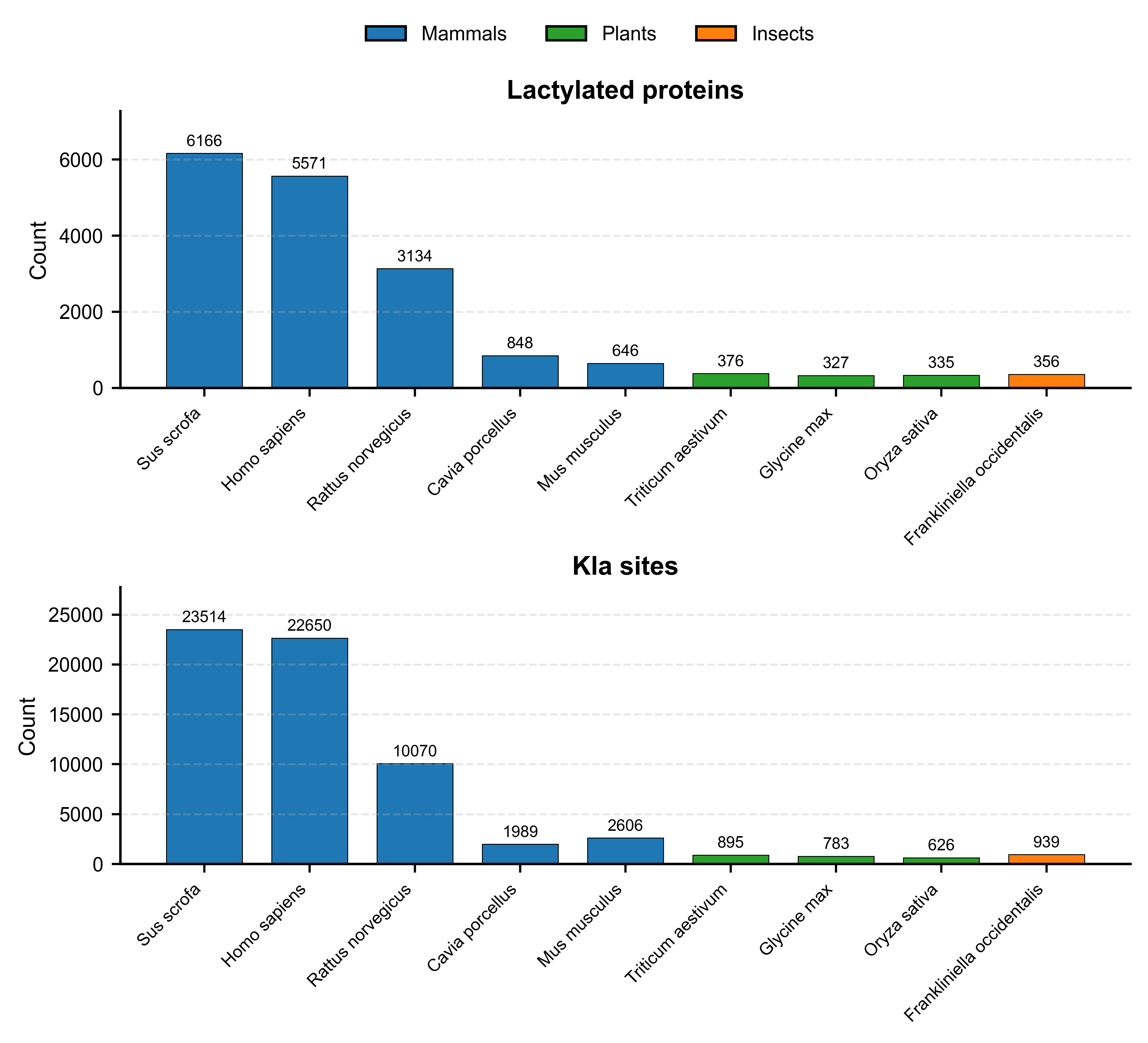 Bar charts showing lactylated protein and Kla site counts across KlaDB species